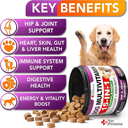 (2 Pack) Dog Multivitamin Chewable with Glucosamine   Dog Vitamins and