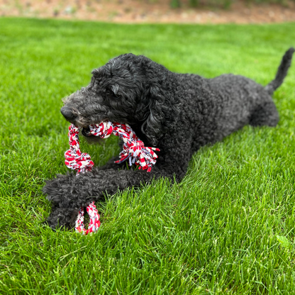 ReRope Small Looper with Tennis Ball Upcycled Fabric Rope Dog Toys