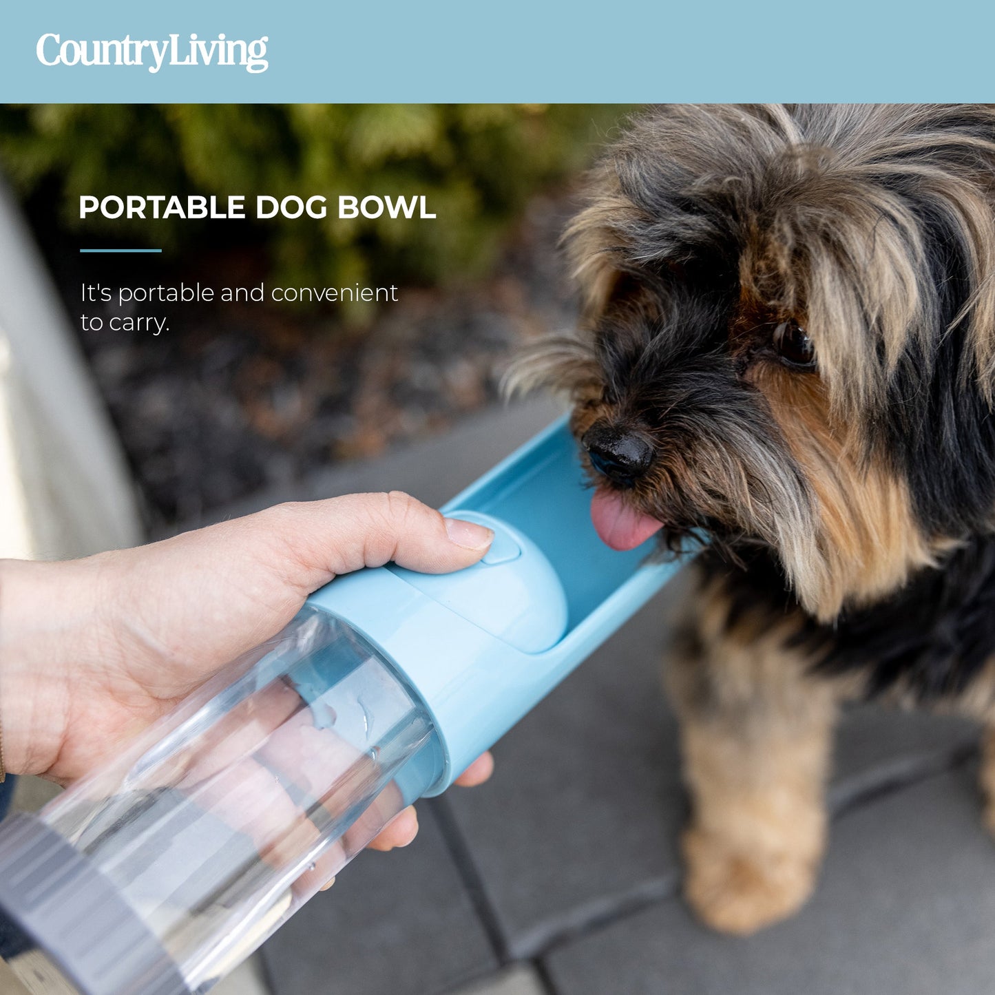 💧 Portable Dog Water Bottle – Leak-Proof, Foldable & Charcoal Filter