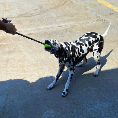 ReRope Small Looper with Tennis Ball Upcycled Fabric Rope Dog Toys