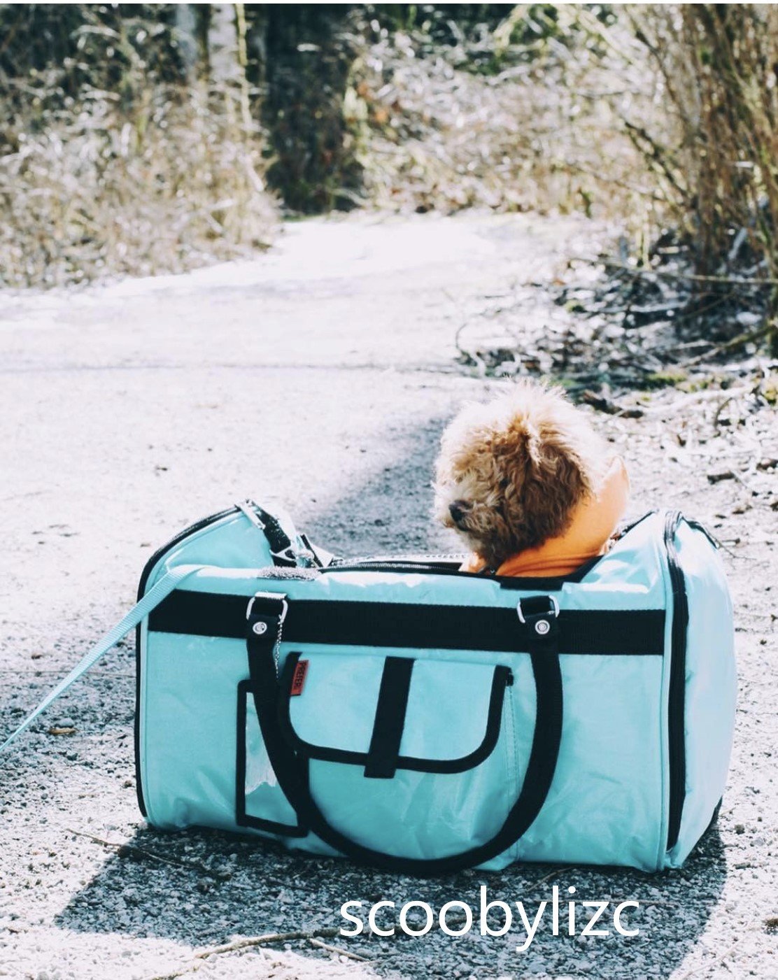 312 Hideaway™ Duffel - Pet Carrier