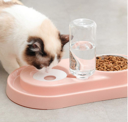 Stainless Steel Pet Bowls with Automatic Water Bottle